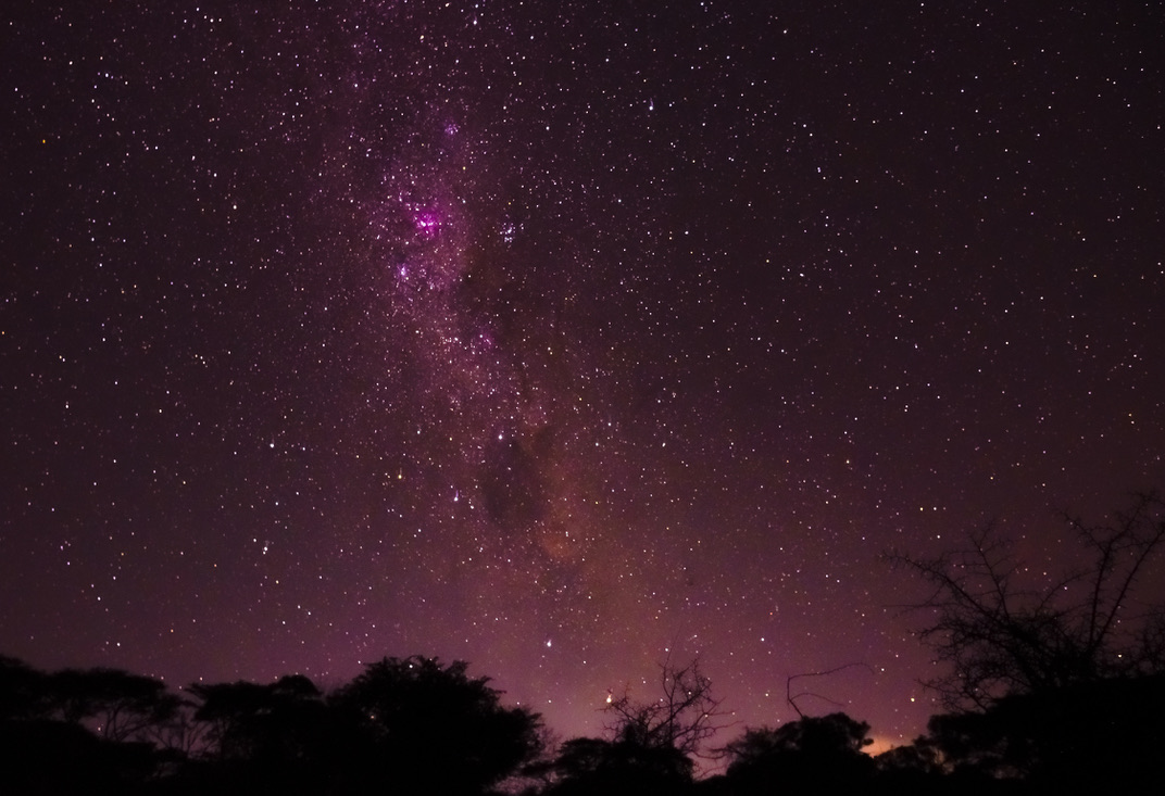 Milky Way arching over the silhouette of acacia trees on a clear night