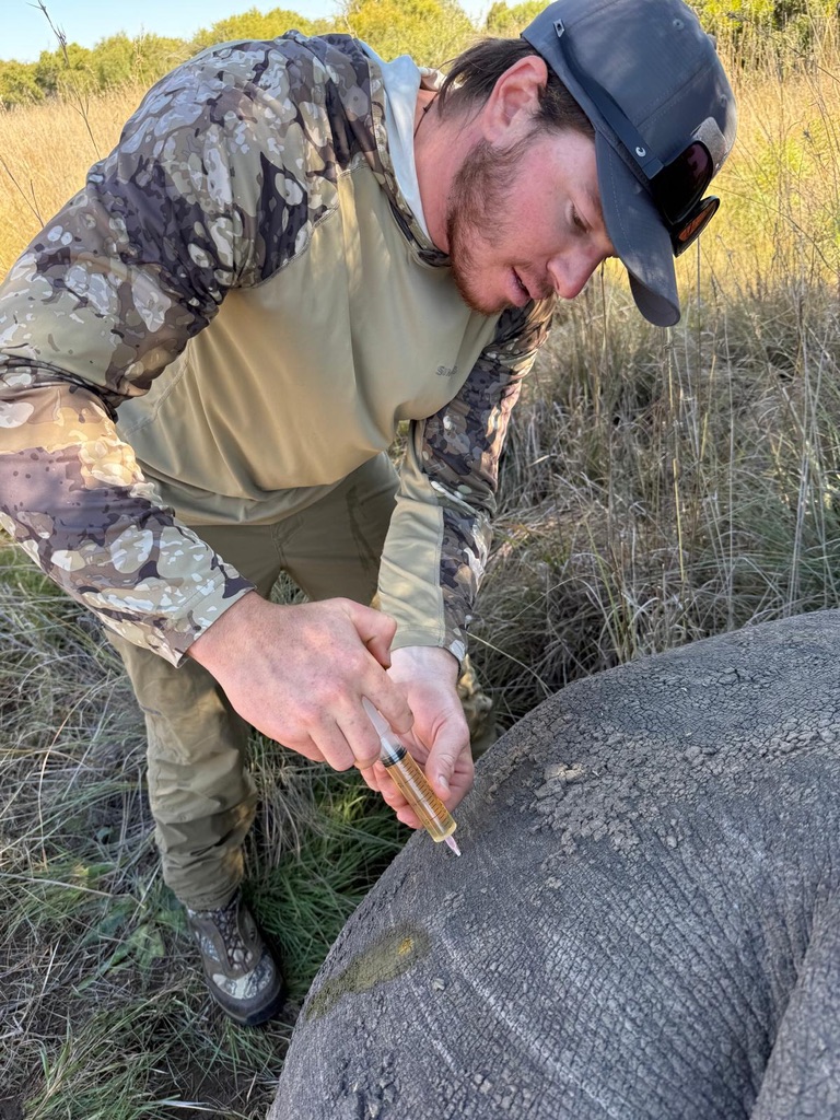 Veterinary team working on rhino conservation in Africa